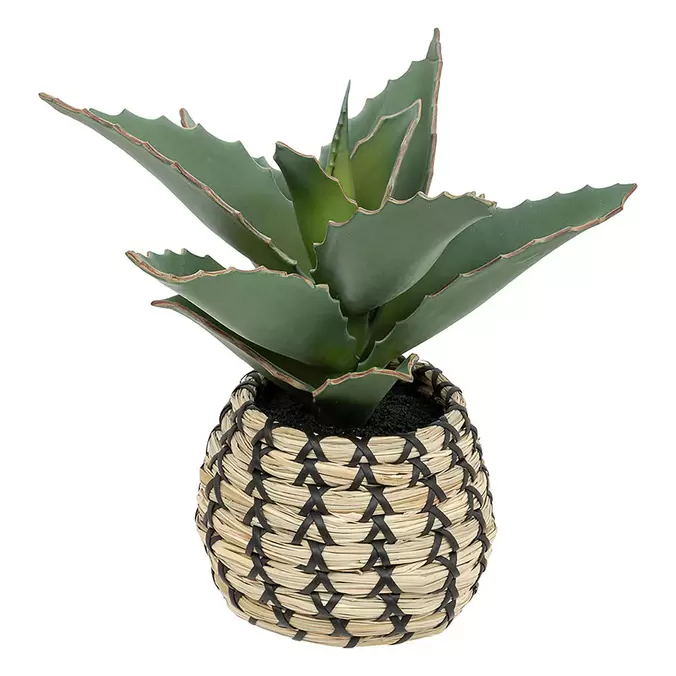 Plante samouraï artificiellepot naturelle H 26cm offre à 9,99€ sur Centrakor