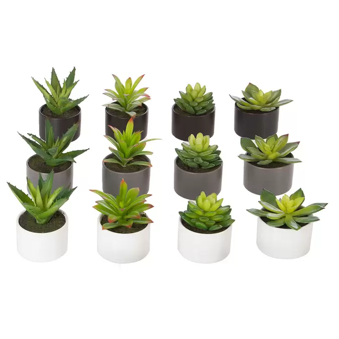 Plante grasse artificielle et pot H 13cm offre à 3,99€ sur Centrakor