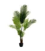 Palmier pot h.170cm offre à 79,99€ sur Maxi Bazar