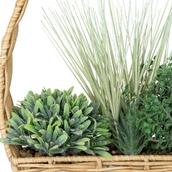 Suspension naturel plante d.40cm offre à 29,99€ sur Maxi Bazar