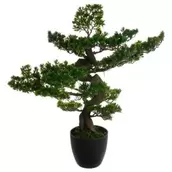 Bonsai artificiel h.80cm offre à 59,99€ sur Maxi Bazar