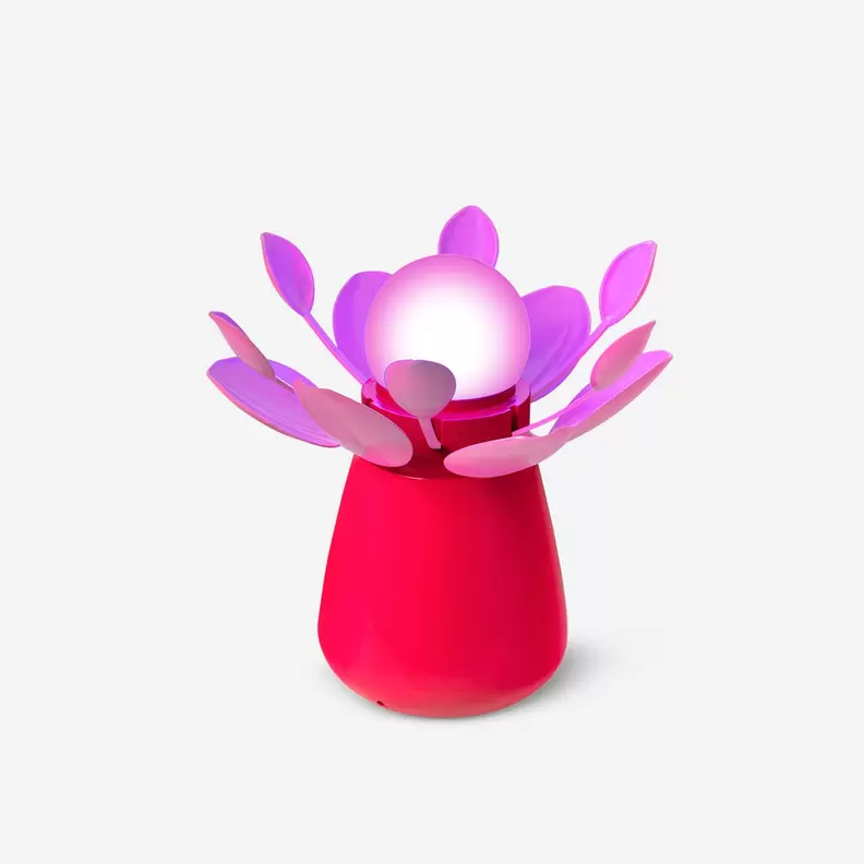 Lampe à fleurs lumineuses offre à 10€ sur Flying Tiger