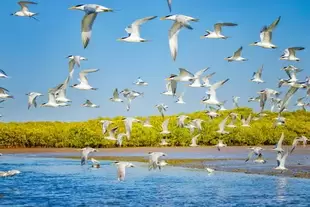 Senegal offre à 713€ sur Promovacances