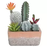 Pot avec 6 cactus artificiels différents offre à 10,99€ sur Oogarden