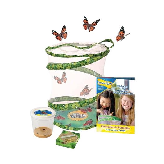 Kit d elevage de papillon modele garden offre à 22,83€ sur Nature et Découvertes
