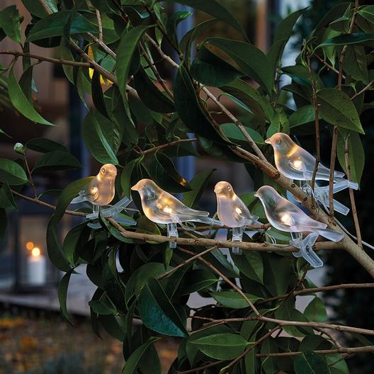 Guirlande solaire oiseaux de nuit offre à 25,95€ sur Nature et Découvertes