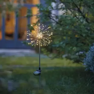 Fleur de pissenlit solaire a planter offre à 22,95€ sur Nature et Découvertes