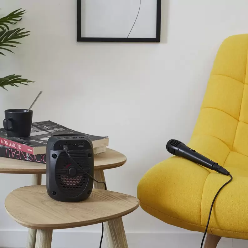 ENCEINTE BT MICRO KARAOKE offre à 29,99€ sur La chaise longue