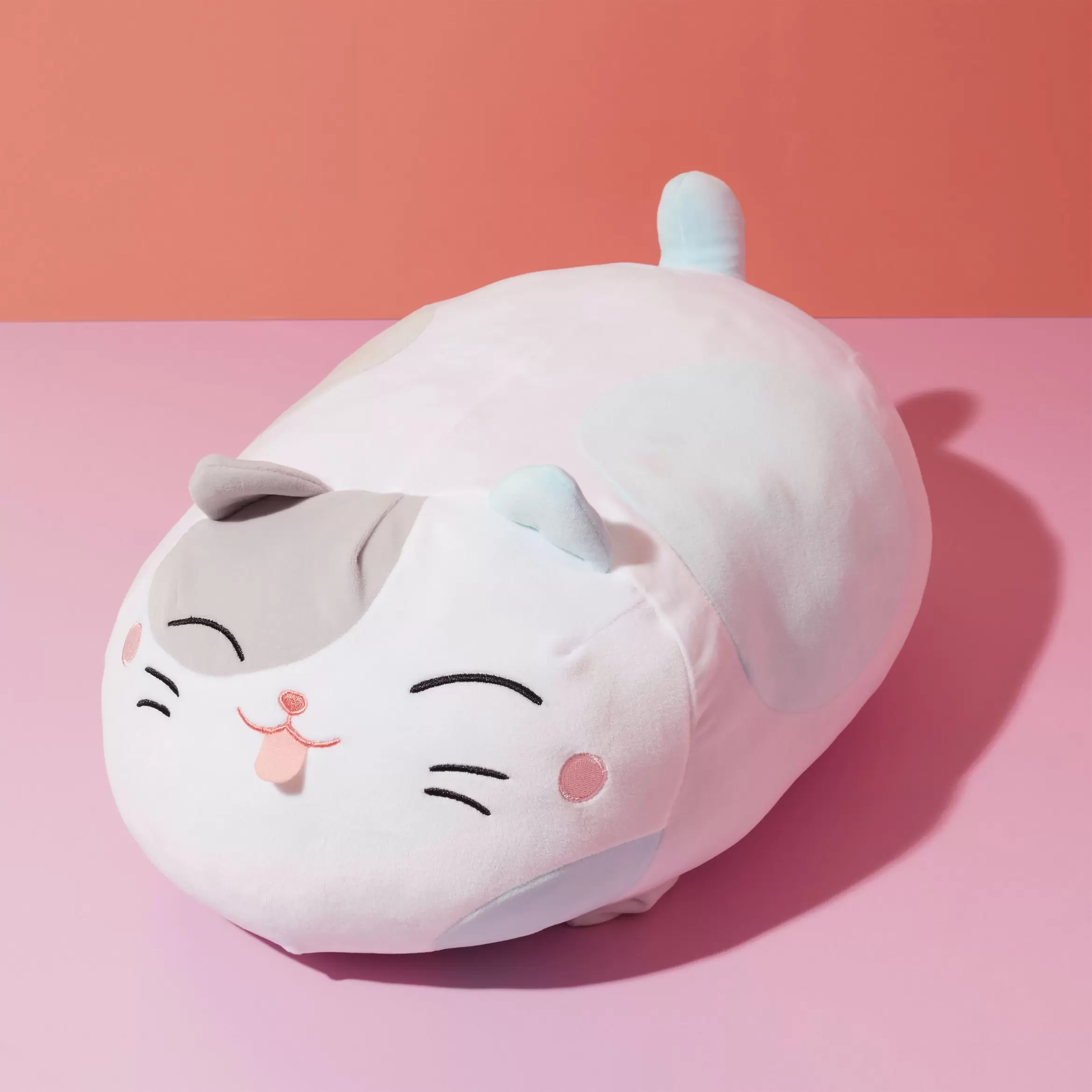 COUSSIN CHAT offre à 34,99€ sur La chaise longue