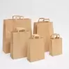 Sac kraft lisse poignées plates brun offre à 0,07€ sur Retif