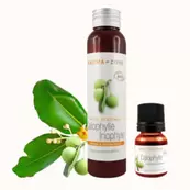 Huile de Calophylle inophyle BIO offre à 5,21€ sur Aroma Zone