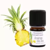 Fragrance naturelle Ananas des îles offre à 1,54€ sur Aroma Zone