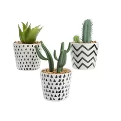 Plante grasse dans pot D8xH13/15cm (unité) offre à 2,97€ sur Pier Import