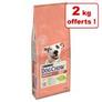 Croquettes PURINA Dog Chow pour chien : 12 kg + 2 kg offerts ! offre à 35,99€ sur 