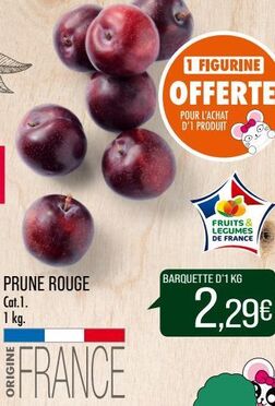 PRUNE ROUGE