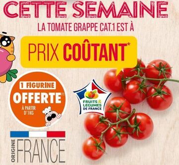 LA TOMATE GRAPPE CAT.1 EST À 