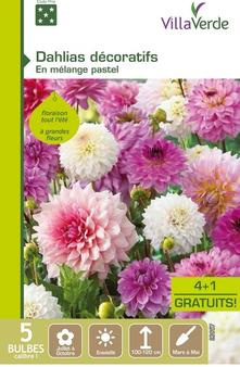 Bulbes dahlias décoratifs en mélange pastel VILLAVERDE - 5 bulbes calibre 1 offre à 10,29€ sur VillaVerde