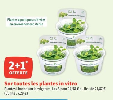 Sur Toutes Les Plantes In Vitro offre à 7,29€ sur Maxi Zoo