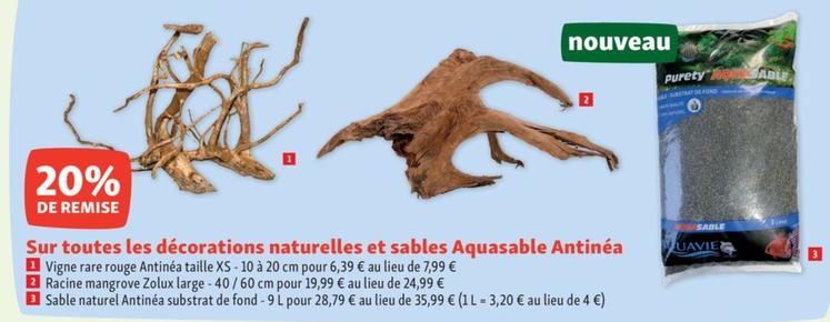 Antinéa - Sur Toutes Les Décorations Naturelles Et Sables Aquasable offre sur Maxi Zoo