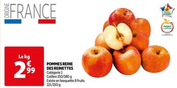 Pommes Reine Des Reinettes