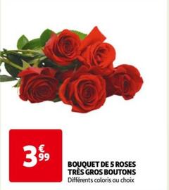 BOUQUET DE 5 ROSES TRÈS GROS BOUTONS