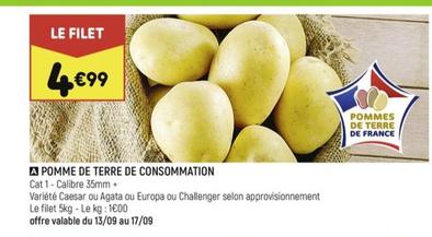 pomme de terre de consommation