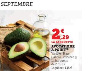 Avocat Mur a Point