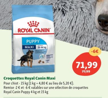 Royal Canin Croquettes Maxi offre à 71,99€ sur Maxi Zoo