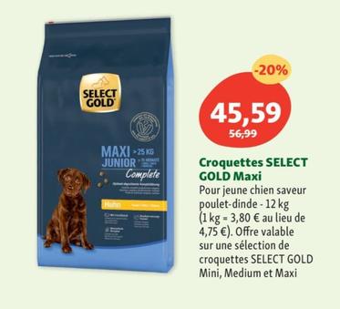 SELECT GOLD - Croquettes Maxi