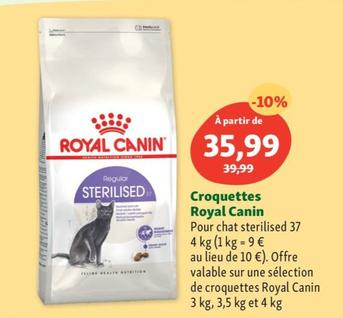 royal canin - croquettes