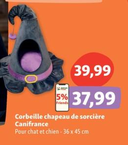 Corbeille chapeau de sorcière Canifrance