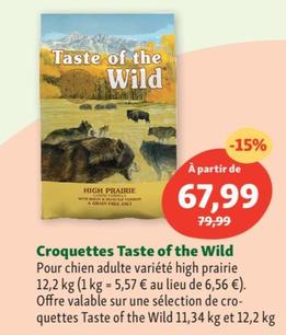 Taste of the Wild - Croquettes