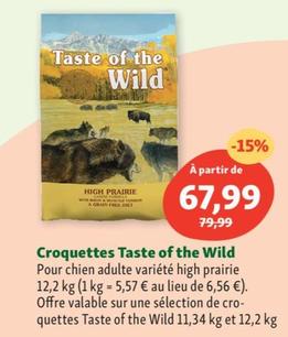 taste of the wild - croquettes