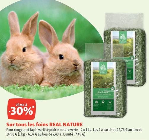 real nature - foin