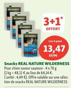 wilderness - snacks real nature