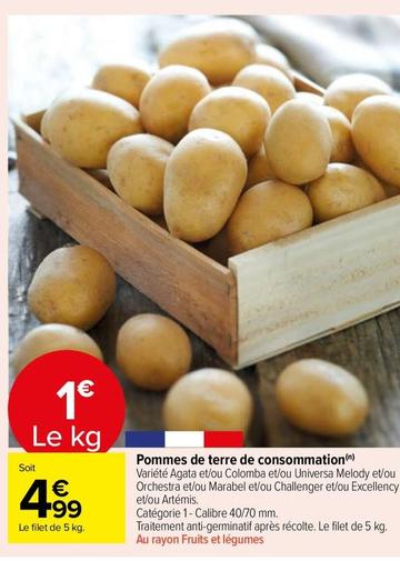 Pommes de terre de consommation