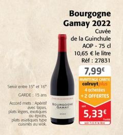 Cuvée de la Guinchule - Bourgogne Gamay 2022 AOP