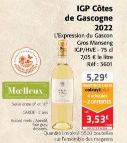 Manseng - IGP Côtes de Gascogne 2022 L'Expression du Gascon Gros IGP/HVE