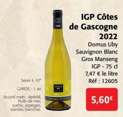 Domus Uby Sauvignon Blanc Gros Manseng - IGP Côtes de Gascogne 2022