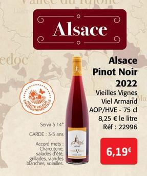 Vieilles Vignes Viel Armand - Alsace Pinot Noir 2022