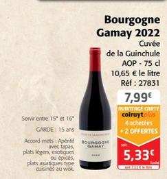 Cuvée de la Guinchule - Bourgogne Gamay 2022