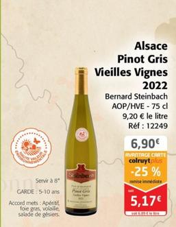 Bernard Steinbach -Alsace Pinot Gris Vieilles Vignes 2022