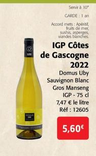 Gros Manseng -IGP Côtes de Gascogne 2022