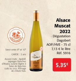 Dégustation Dagobert - Alsace Muscat 2022