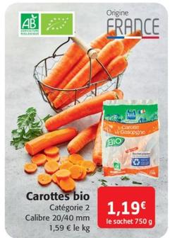 carottes