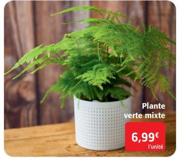 plantes