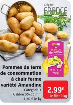 pommes de terre