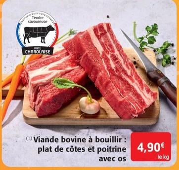 Viande bovine à bouillir : plat de côtes et poitrine avec os