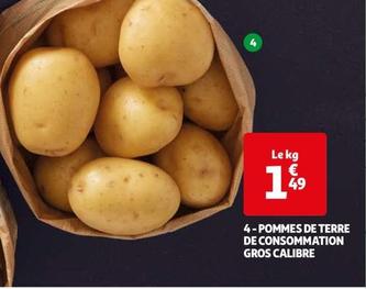 Pommes De Terre De Consommation Gros Calibre