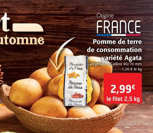 Vert D'automne - Pomme De Terre De Consommation Variete Agata